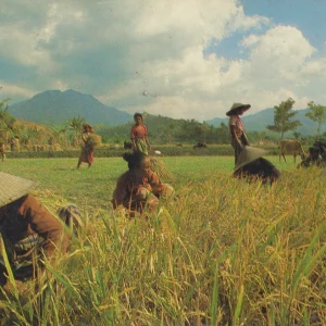 18ff2590-09a4-4c37-a24c-f37b8edc6d66