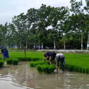 49aa0ddc-7814-4cc4-8fdf-78eae6902fff