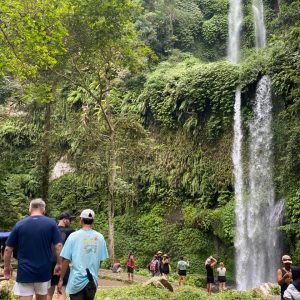 WhatsApp Image 2026-01-15 at 07.38.55 (1)