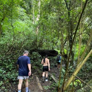 WhatsApp Image 2026-01-15 at 07.38.55 (2)