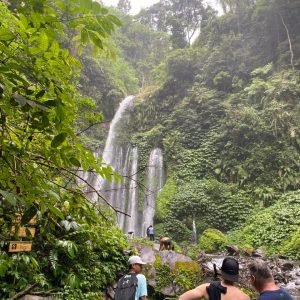 WhatsApp Image 2026-01-15 at 07.38.56 (1)