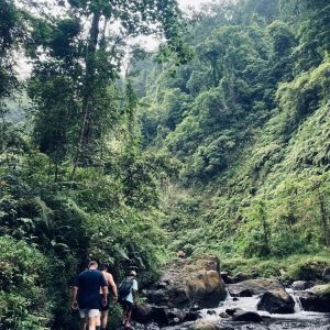 WhatsApp Image 2026-01-15 at 07.38.56