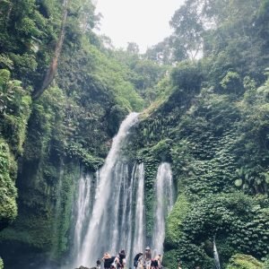 WhatsApp Image 2026-01-15 at 07.38.57