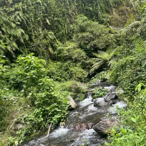 a00d7c78-38ac-4a98-8af5-ebb401f8e640