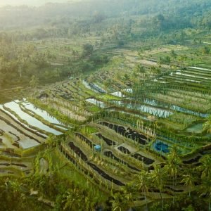 tetebatu
